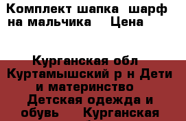 Комплект шапка- шарф, на мальчика  › Цена ­ 200 - Курганская обл., Куртамышский р-н Дети и материнство » Детская одежда и обувь   . Курганская обл.